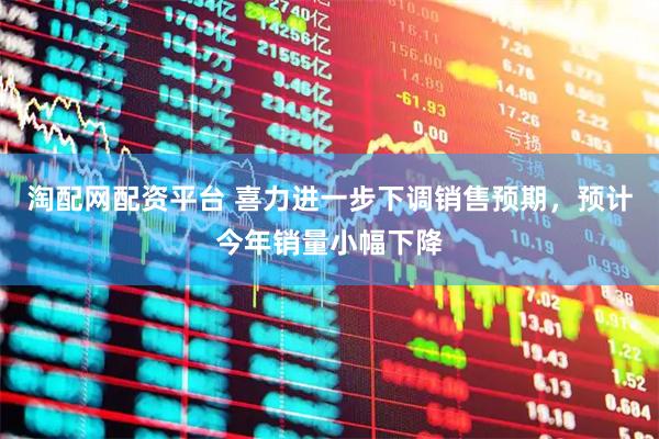 淘配网配资平台 喜力进一步下调销售预期，预计今年销量小幅下降
