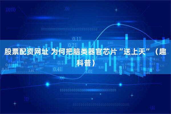 股票配资网址 为何把脑类器官芯片“送上天”（趣科普）